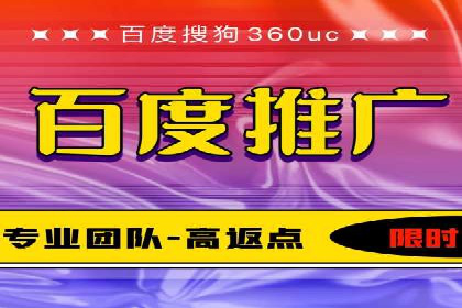 竞价广告策略案例分析