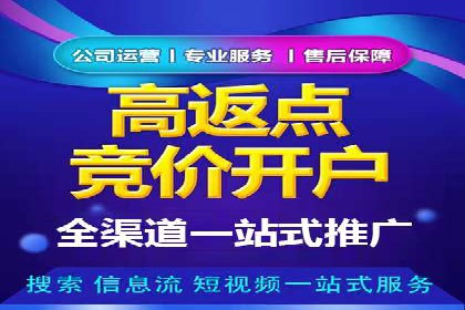 行业领先SEM托管代运营案例